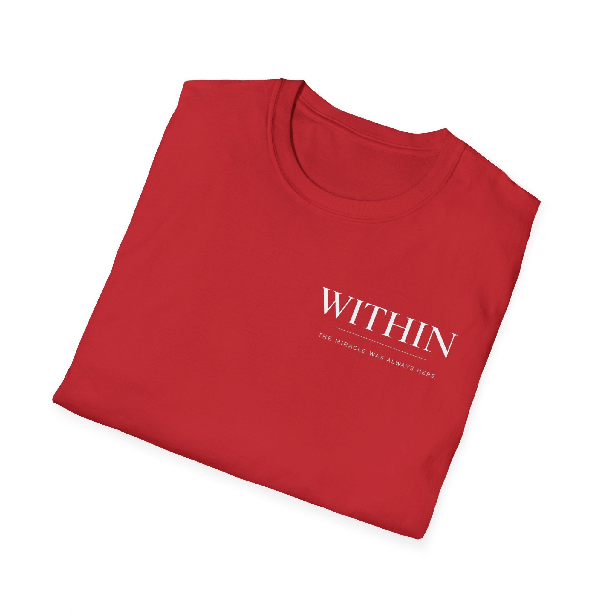 Mini Within Miracle was Always here T-Shirt